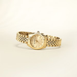 KARL LAGERFELD ΡΟΛΟΙ